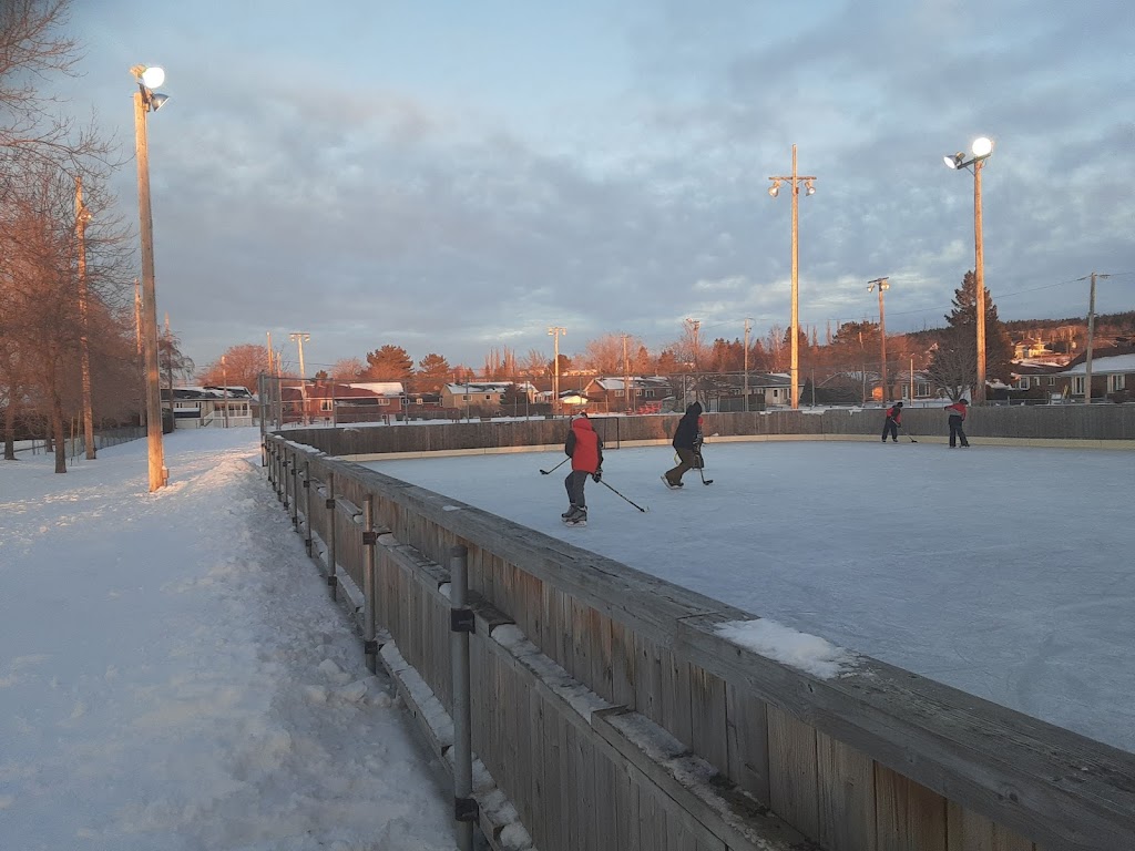 Patinoire du Parc des Balancines | 11 Rue Wilfrid Laurier, Rivière-du-Loup, QC G5R 1A4, Canada | Phone: (418) 857-4533