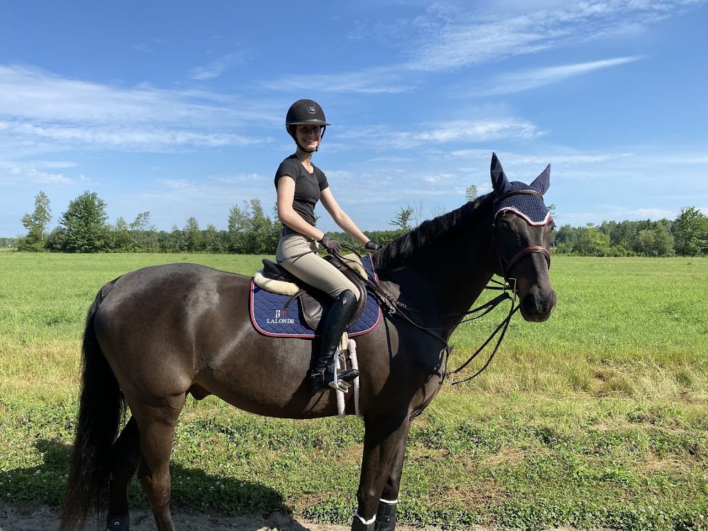 Wynbrook Equestrian Centre | 6222 Dunning Rd, Vars, ON K0A 3H0, Canada | Phone: (613) 371-5293