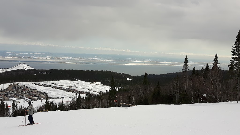 Chalet-Forêt FOR39 | 9 chemin du Haut-Lieu, Petite-Rivière-Saint-François, QC G0A 2L0, Canada | Phone: (418) 948-9039