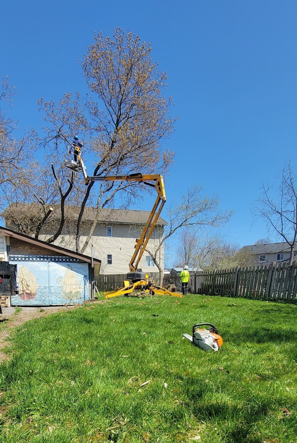 Lupenette Tree Service | 149 Lingham St, Belleville, ON K8N 3T3, Canada | Phone: (343) 645-6703