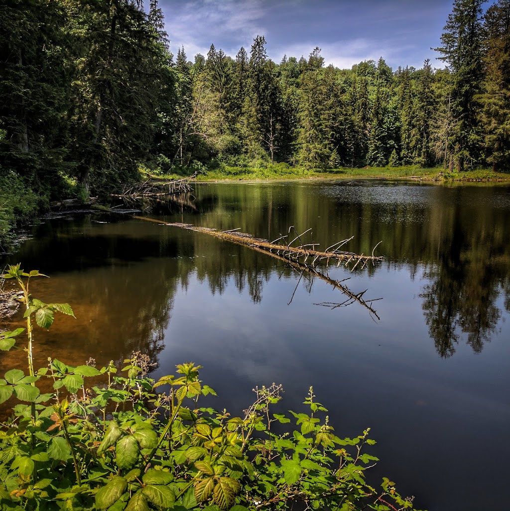 Hayward Lake Reservoir | Mission, BC V4S 1C4, Canada | Phone: (604) 462-7533