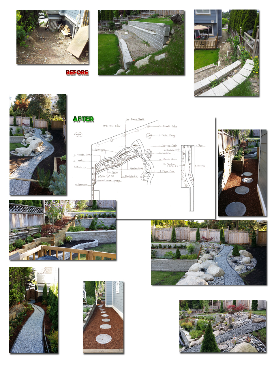 Andys Landscape Inc. | 11502 Burnett St. #18, Maple Ridge, BC V2X 0Y2, Canada | Phone: (778) 895-6202