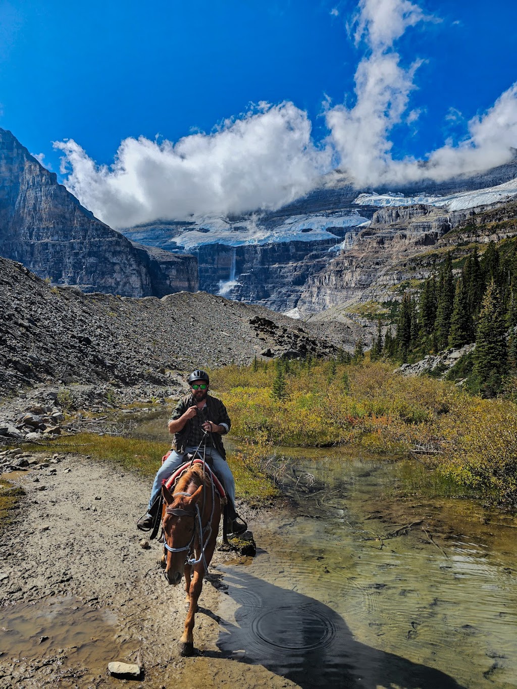 Brewsters Lake Louise Stables | 111 Lake Louise Dr, Lake Louise, AB T0L 1E0, Canada | Phone: (403) 762-5454