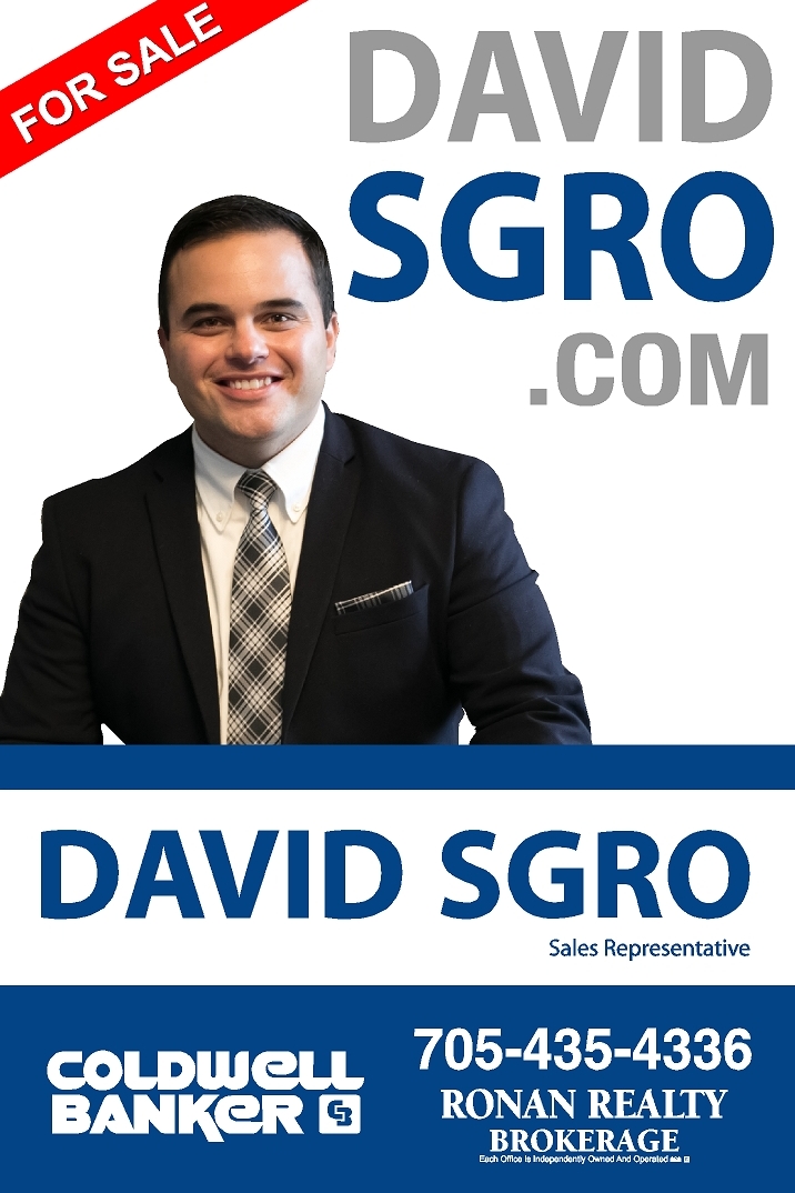 David Sgro Real Estate | 367 Victoria St E, Alliston, ON L9R 1J8, Canada | Phone: (877) 435-4336