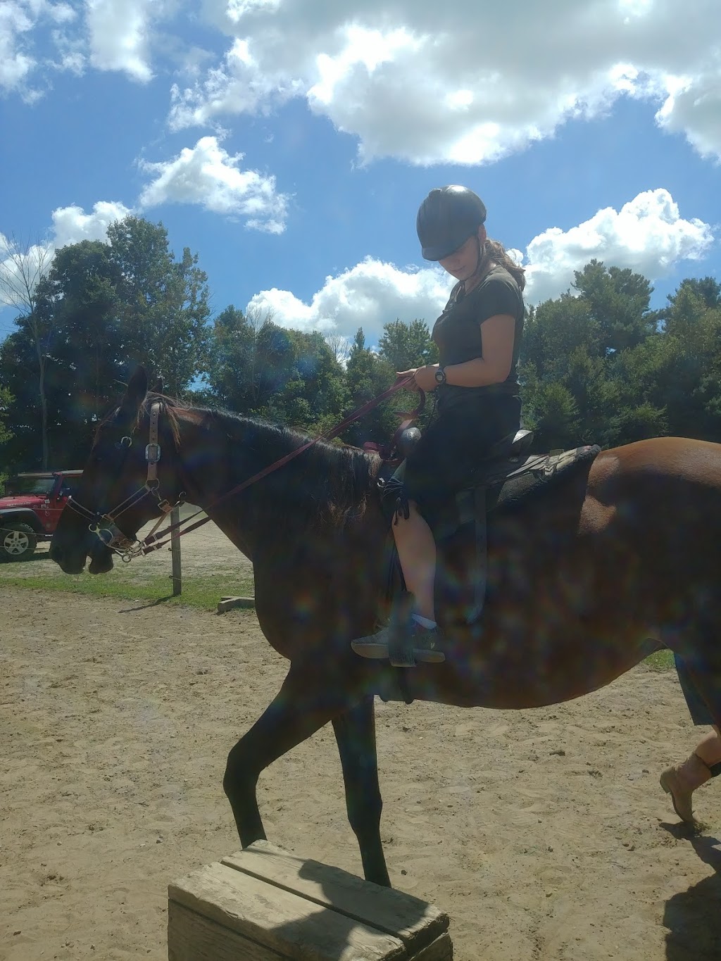 Darkin Riding Stables | 6253 Brown Rd, Port Burwell, ON N0J 1T0, Canada | Phone: (519) 280-1819