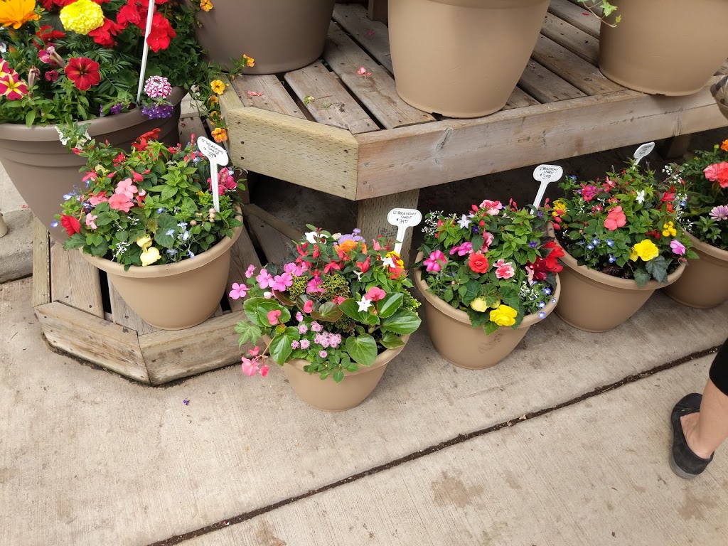 The Greenery Garden Centre | 2507 Longhill Rd, Kelowna, BC V1V 2G5, Canada | Phone: (250) 762-7411