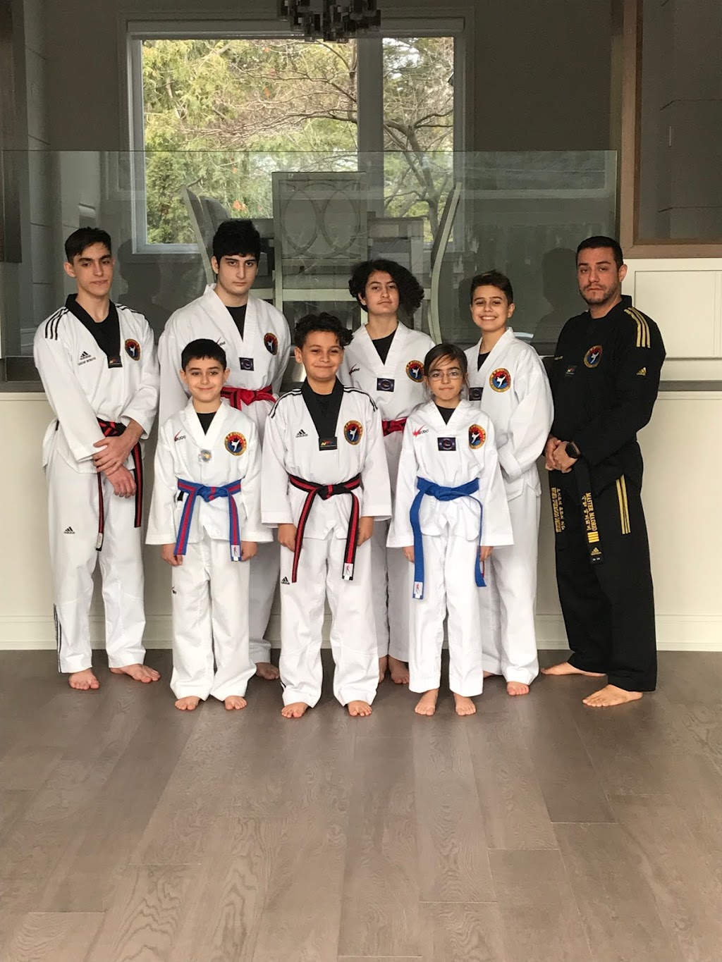 Madrid Taekwondo Institute | 1 Nelson St W #11B, Brampton, ON L6X 4J2, Canada | Phone: (647) 224-9461