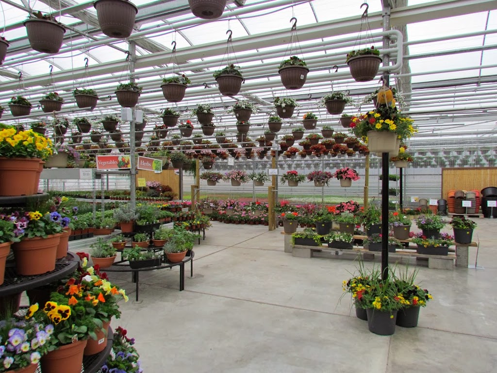 Aspen Greenhouses | 1-40032, Range Rd 283, AB T4M 0X7, Canada | Phone: (403) 885-4516