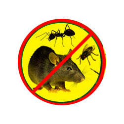 Nikol Pest Control | 3710 Hoskins Rd, North Vancouver, BC V7K 2N8, Canada | Phone: (604) 364-3201