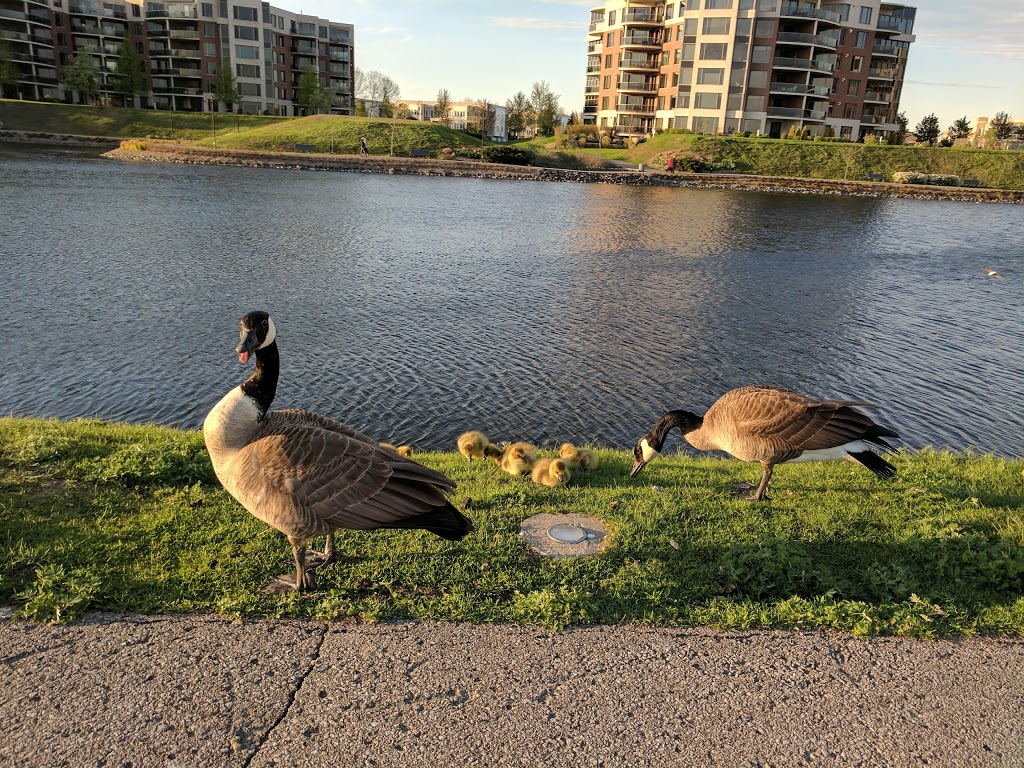 Parc Vincent-dIndy | Boucherville, QC J4B 0C2, Canada