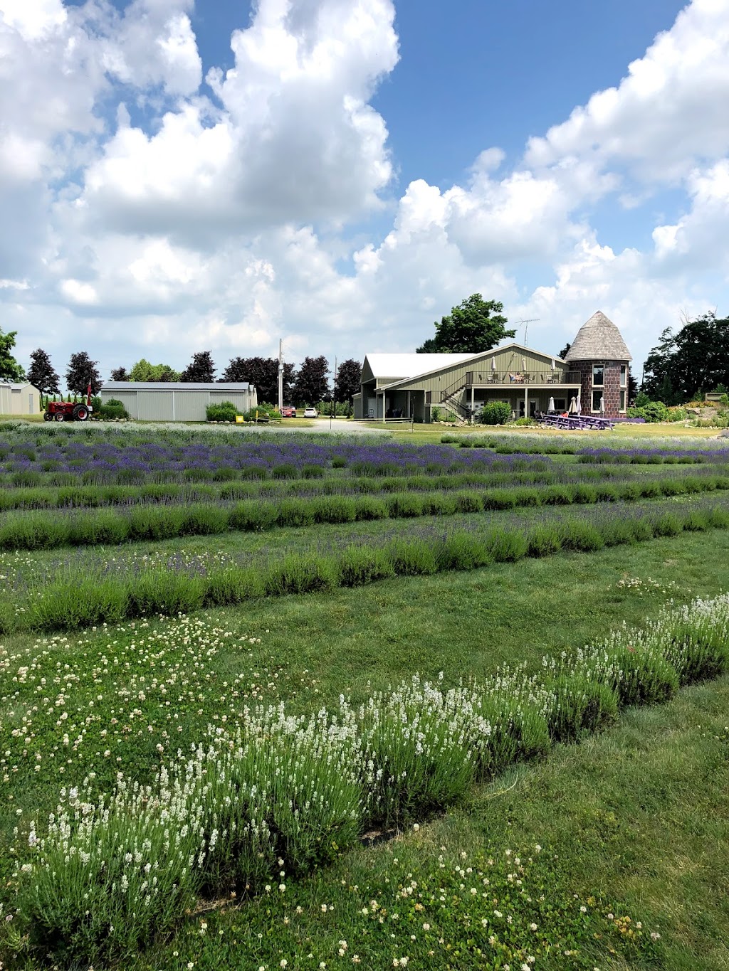 Bonnieheath Estate Lavender & Winery | 410 Concession 12 Townsend, Waterford, ON N0E 1Y0, Canada | Phone: (519) 443-7125