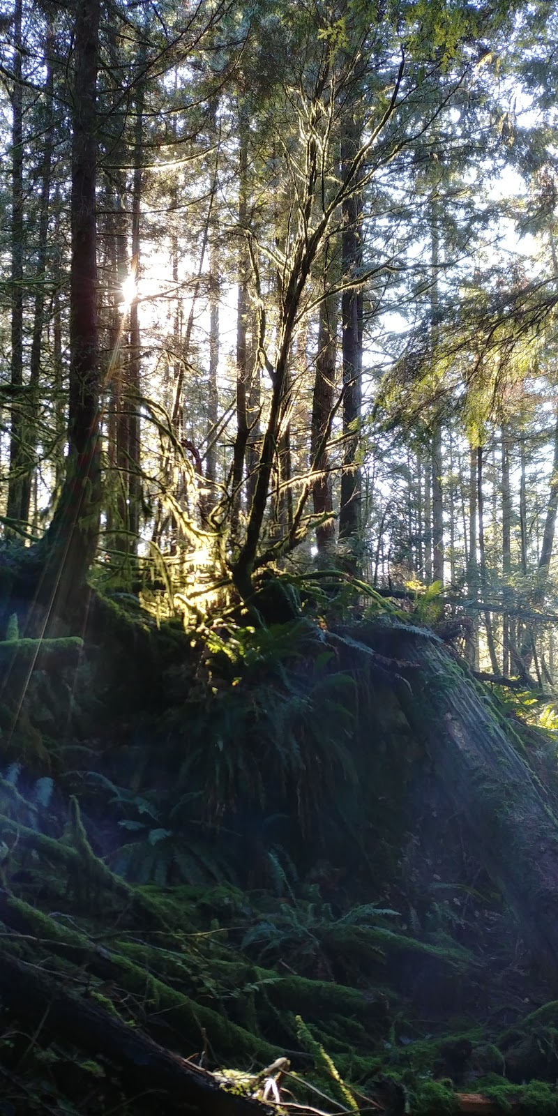 Jug Island Trailend | Indian Arm, Belcarra, BC, Canada