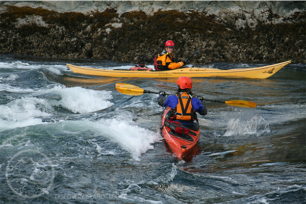 Discovery Islands Lodge | Surge Narrows Rd, Quadra Island, Surge Narrows, BC V0P 1W0, Canada | Phone: (250) 285-2823