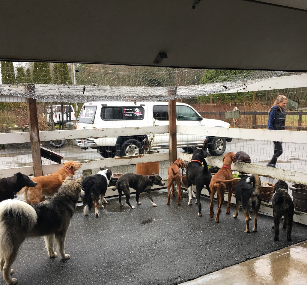 Doghaven | 1015 Raven Dr, Garibaldi Highlands, BC V0N 1T0, Canada | Phone: (604) 848-8330