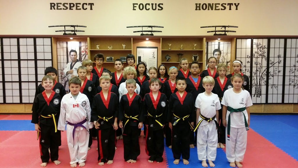 Black Tigers Tae Kwon Do | Needing building, 1001 Emo Dr, Thunder Bay, ON P7C 4W1, Canada | Phone: (807) 622-6833