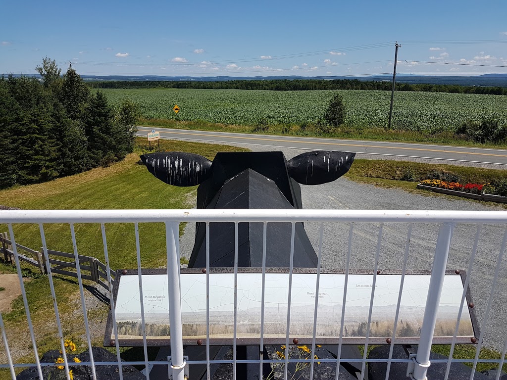 Belvédère à dos de Vache: vue sur Les Appalaches | 1282 Chemin de Windsor, Saint-Georges-de-Windsor, QC J0A 1J0, Canada