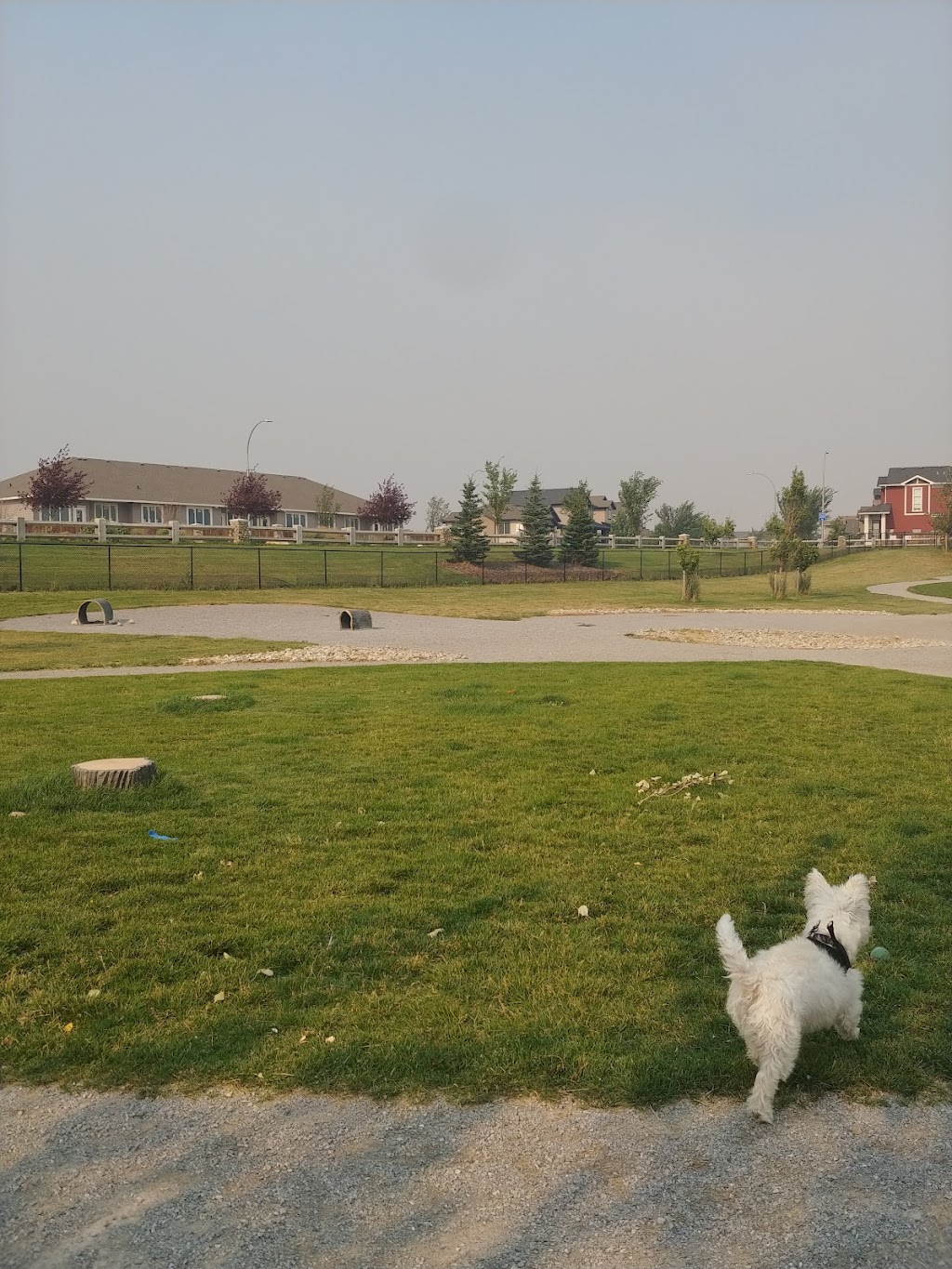 RiverStone Dog Park | Riverstone, Lethbridge, AB T1J 4S8, Canada | Phone: (403) 849-7268