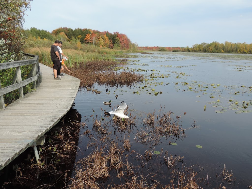 Centre dInterprétation de la Nature du Lac Boivin | 700 Rue Drummond, Granby, QC J2H 0K6, Canada | Phone: (450) 375-3861