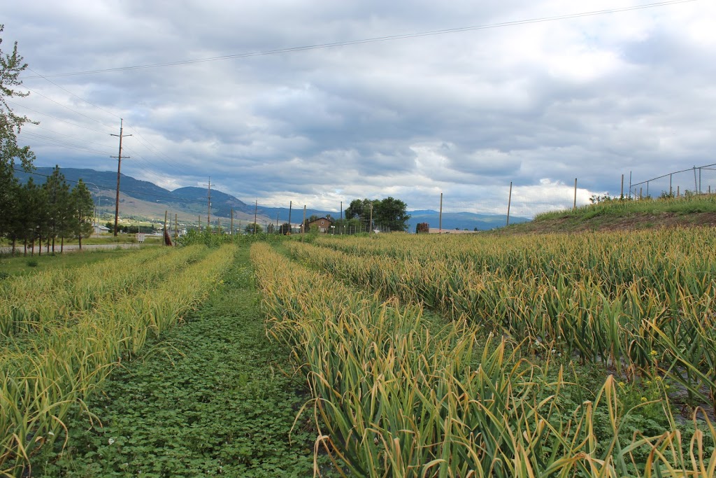 Dry Valley Farm and Fruit Stand | 2855 Dry Valley Rd, Kelowna, BC V1V 2K1, Canada | Phone: (250) 807-6288