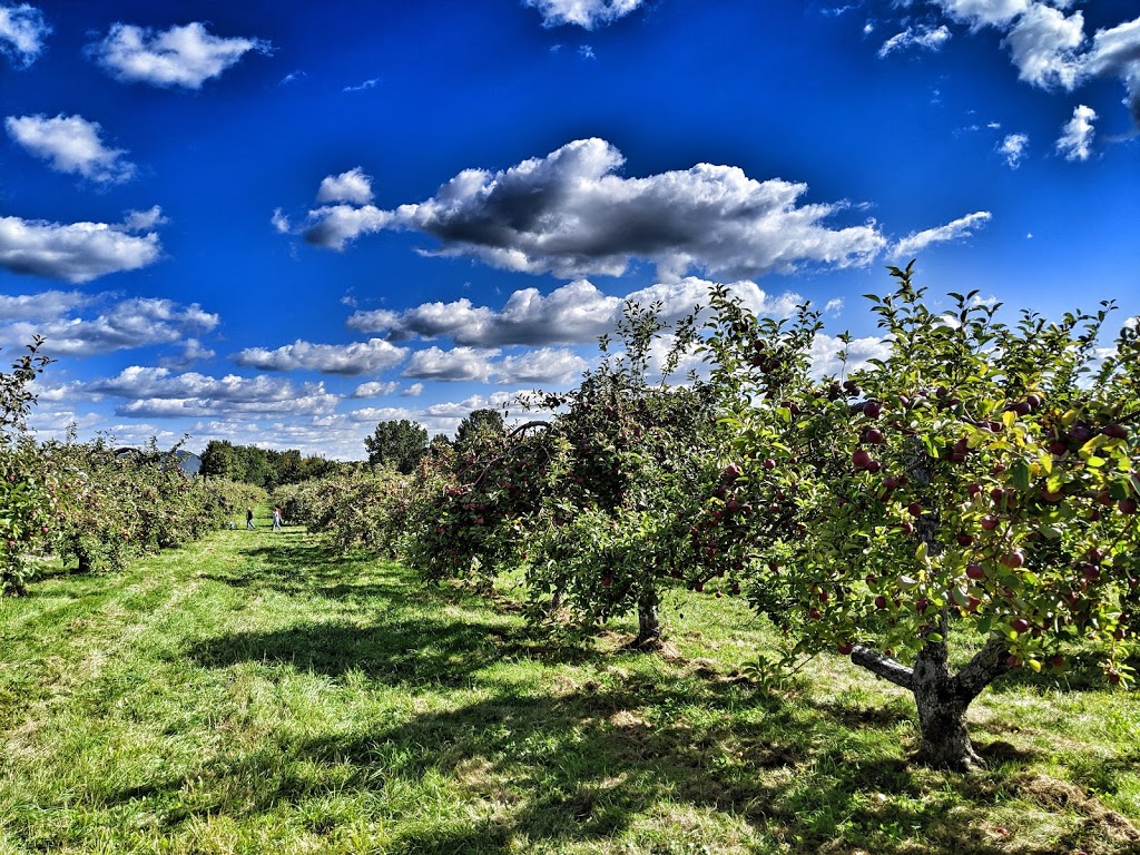 Domaine Du Flanc Sud | 920 Chemin de la Montagne, Mont-Saint-Hilaire, QC J3G 4S6, Canada | Phone: (450) 281-0542