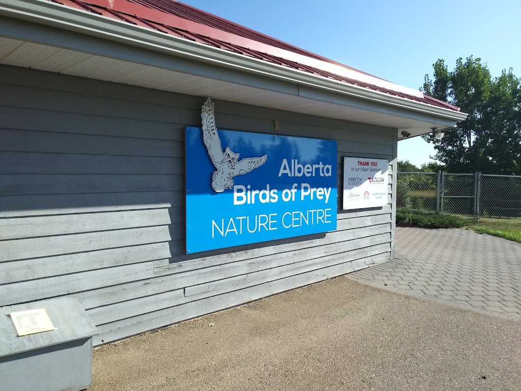 Alberta Birds of Prey Foundation | 2124 16 Ave, Coaldale, AB T1M 1J8, Canada | Phone: (403) 345-4262