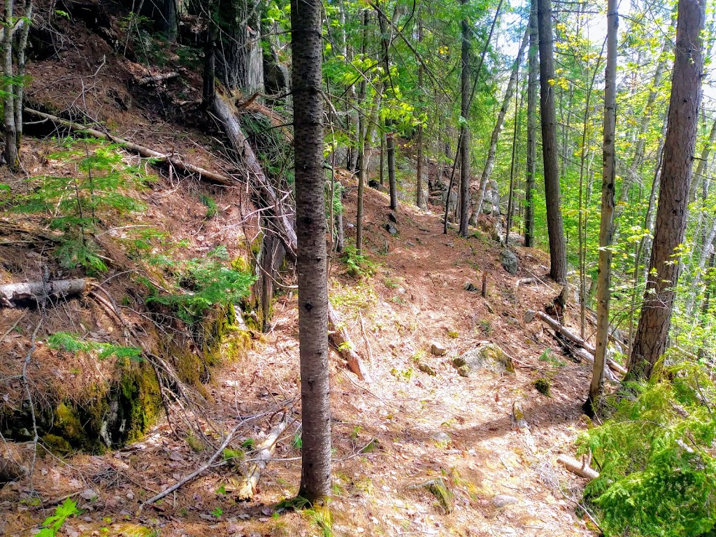 Forêt Ouareau - secteur du Pont-Suspendu | Chemin de la Forêt Ouareau, Notre-Dame-de-la-Merci, QC J0T 2A0, Canada | Phone: (866) 484-1865