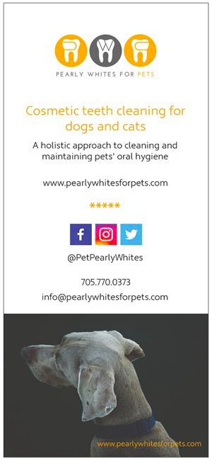 Pearly Whites For Pets | 35 Eaglestone Ln, Barrie, ON L4N 0J3, Canada | Phone: (705) 770-0373