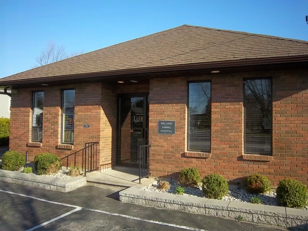 Welland Animal Hospital | 194 Thorold Rd, Welland, ON L3C 3V7, Canada | Phone: (905) 735-7410