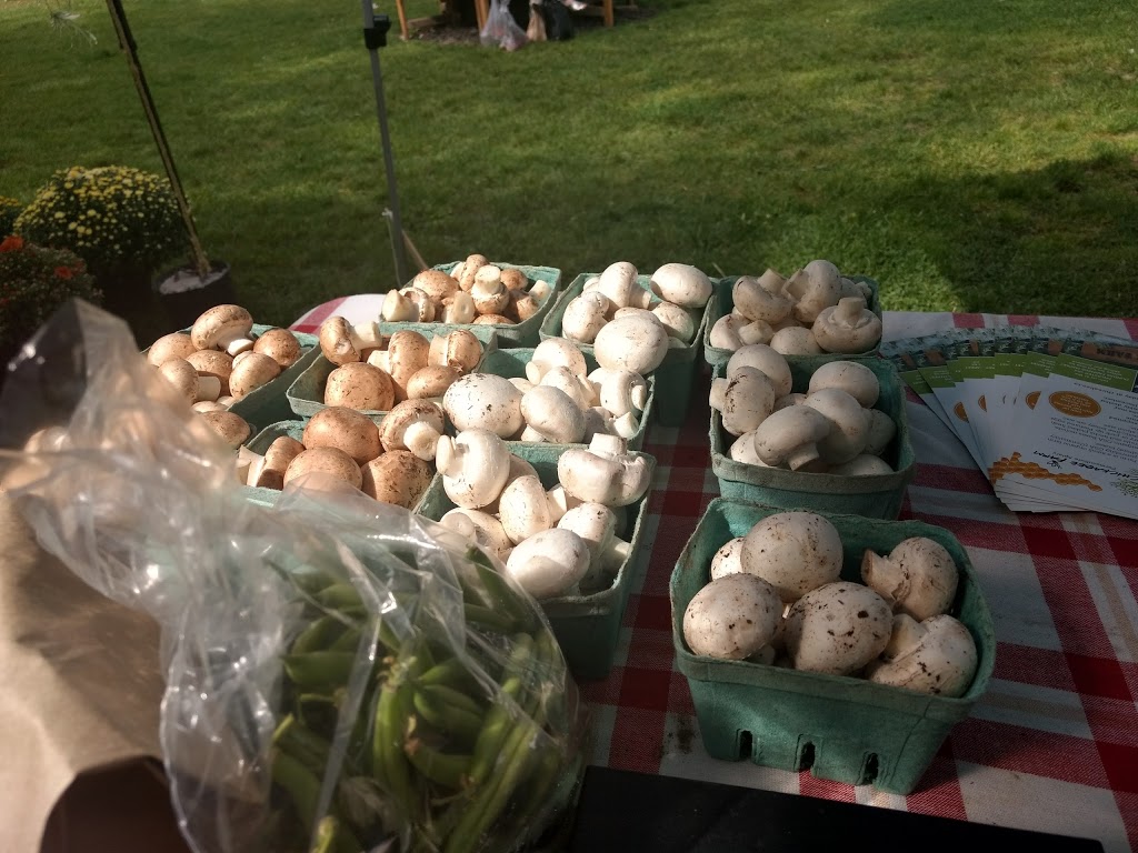 Ancaster Farmers Market | 37 Halson St, Ancaster, ON L9G 2B9, Canada | Phone: (289) 239-7828