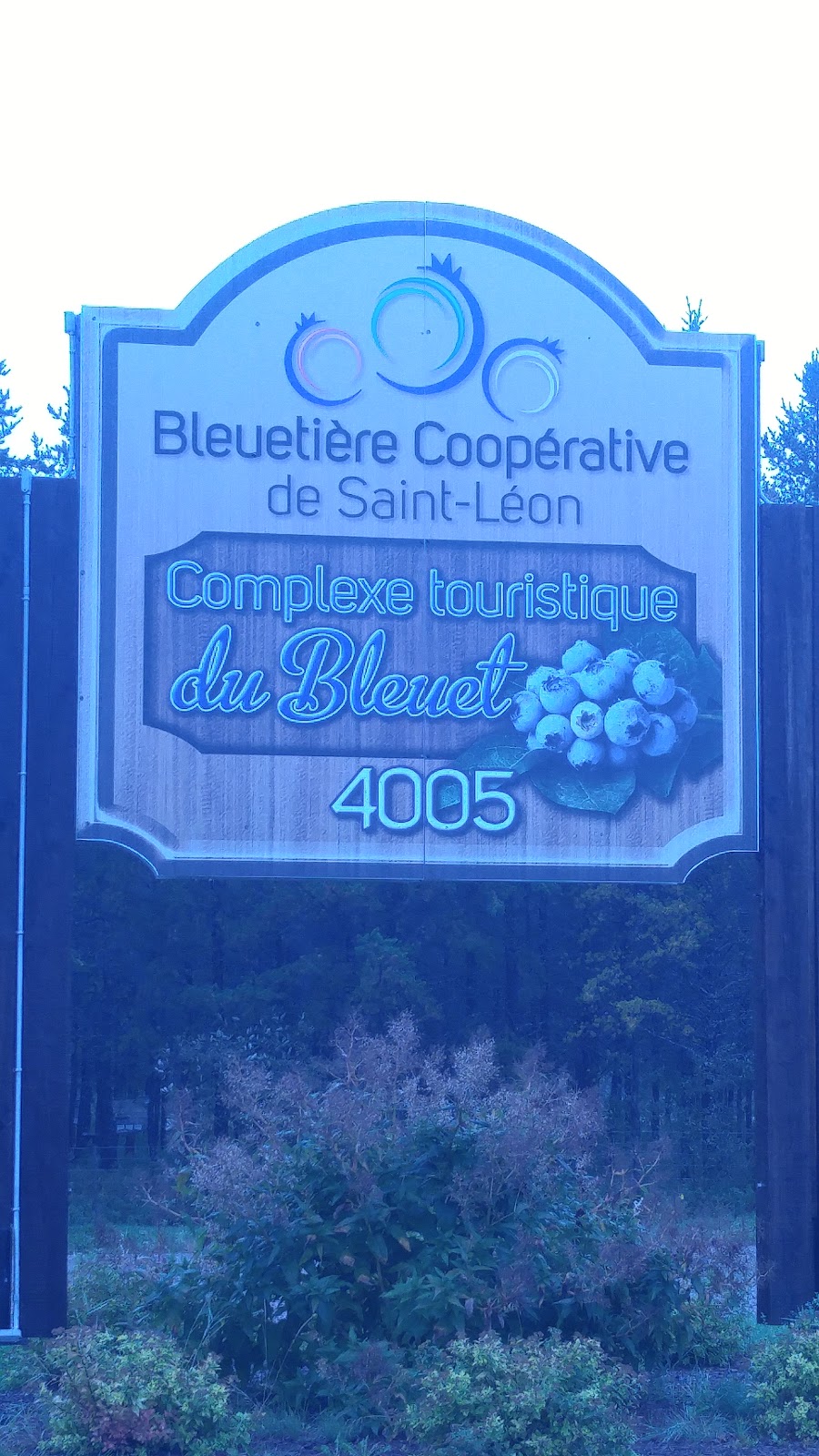 Bleuetiere Co-Op St-Leon | 4005 Rue Ambroise, Labrecque, QC G0W 2S0, Canada | Phone: (418) 481-1777