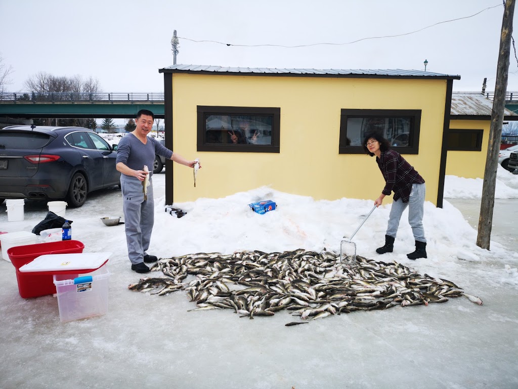 Centre de Pêche Grimard | 915 2e Av, Sainte-Anne-de-la-Pérade, QC G0X 2J0, Canada | Phone: (418) 325-2220