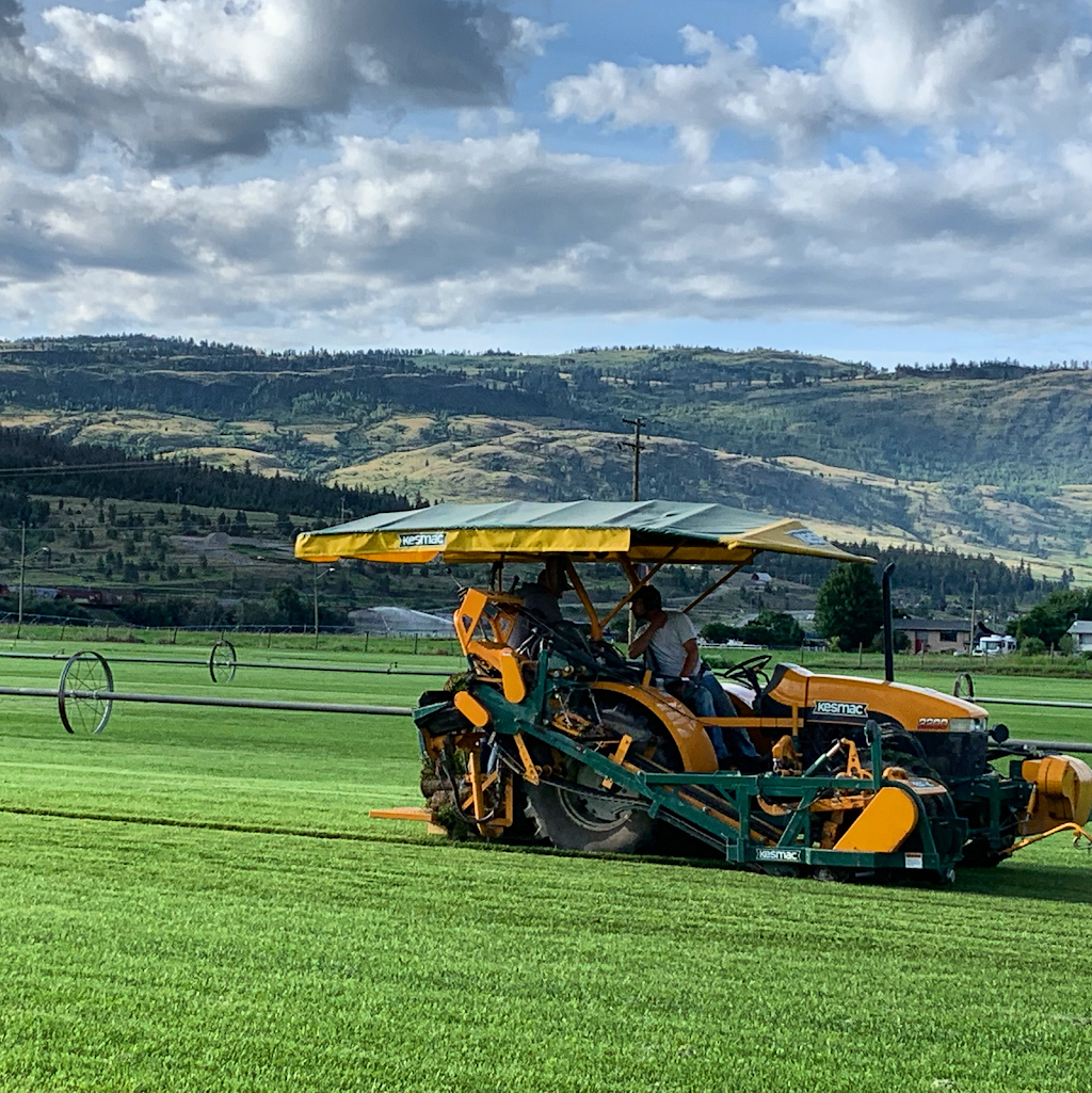 Interior Turf Farm | 340 Station Rd, Kamloops, BC V2H 0B4, Canada | Phone: (250) 578-8873