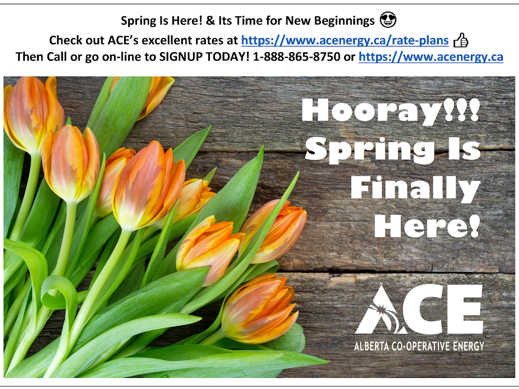 ACE - Alberta Cooperative Energy | 600 2 Ave, Thorhild, AB T0A 3J0, Canada | Phone: (888) 865-8750