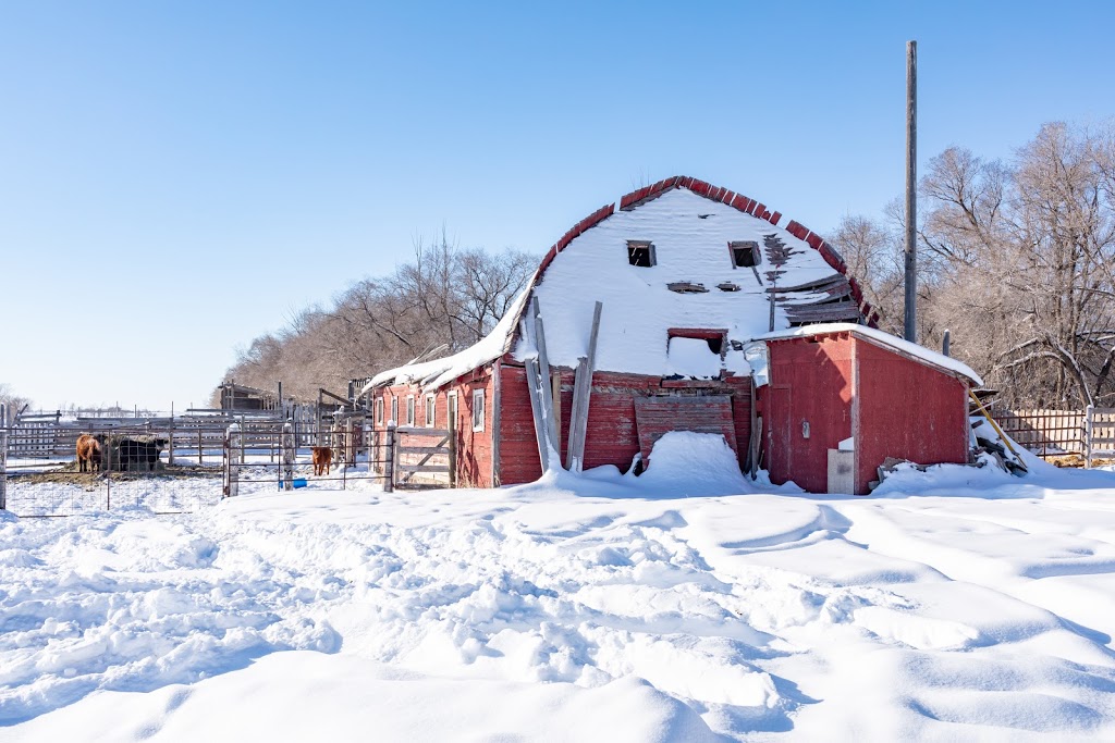 The Crooked Bush | Alticane, SK S0M 0A0, Canada | Phone: (306) 549-2331