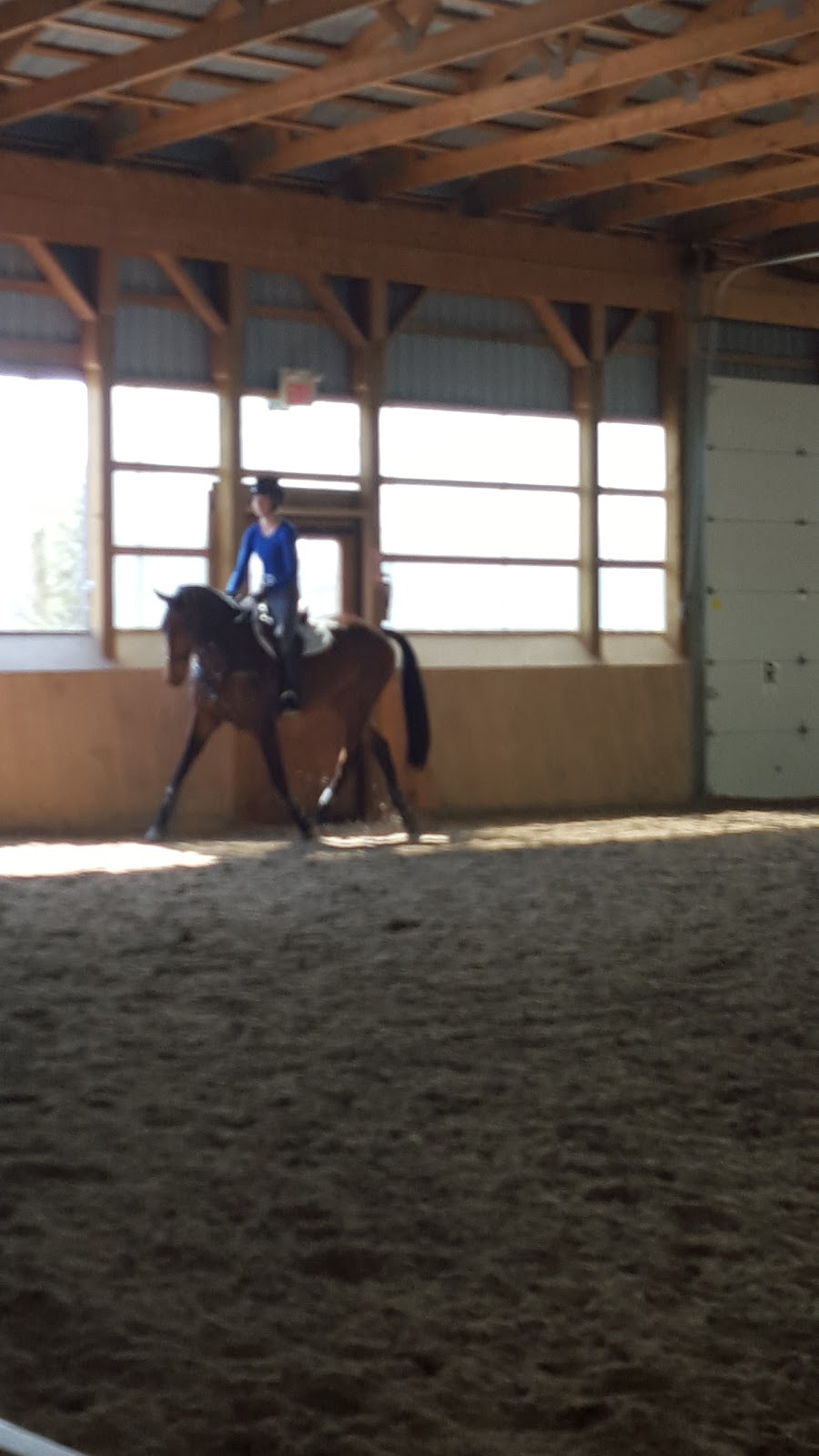 Bronte Creek Equestrian Centre | 1694 Centre Rd, Hamilton, ON L8N 2Z7, Canada | Phone: (905) 379-3855