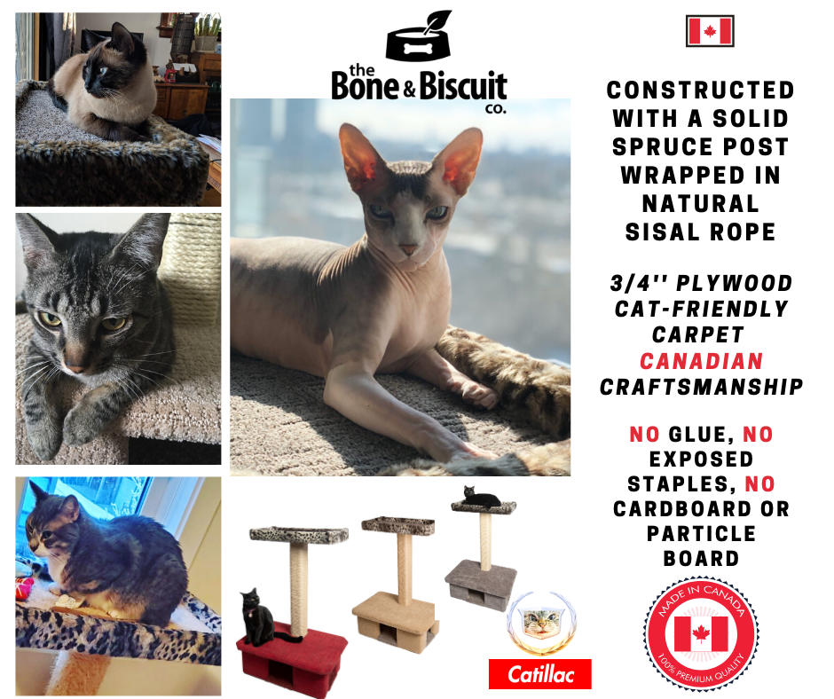 Catillac Co. Building Cat Trees For Canadians | 10204 79 St NW, Edmonton, AB T6A 3G5, Canada | Phone: (780) 937-4370