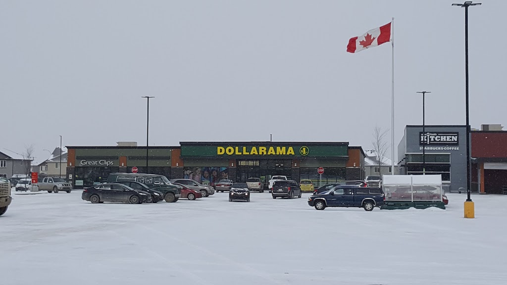 Dollarama | 1264 Webber Greens Dr NW, Edmonton, AB T5T 1S9, Canada | Phone: (780) 341-8838