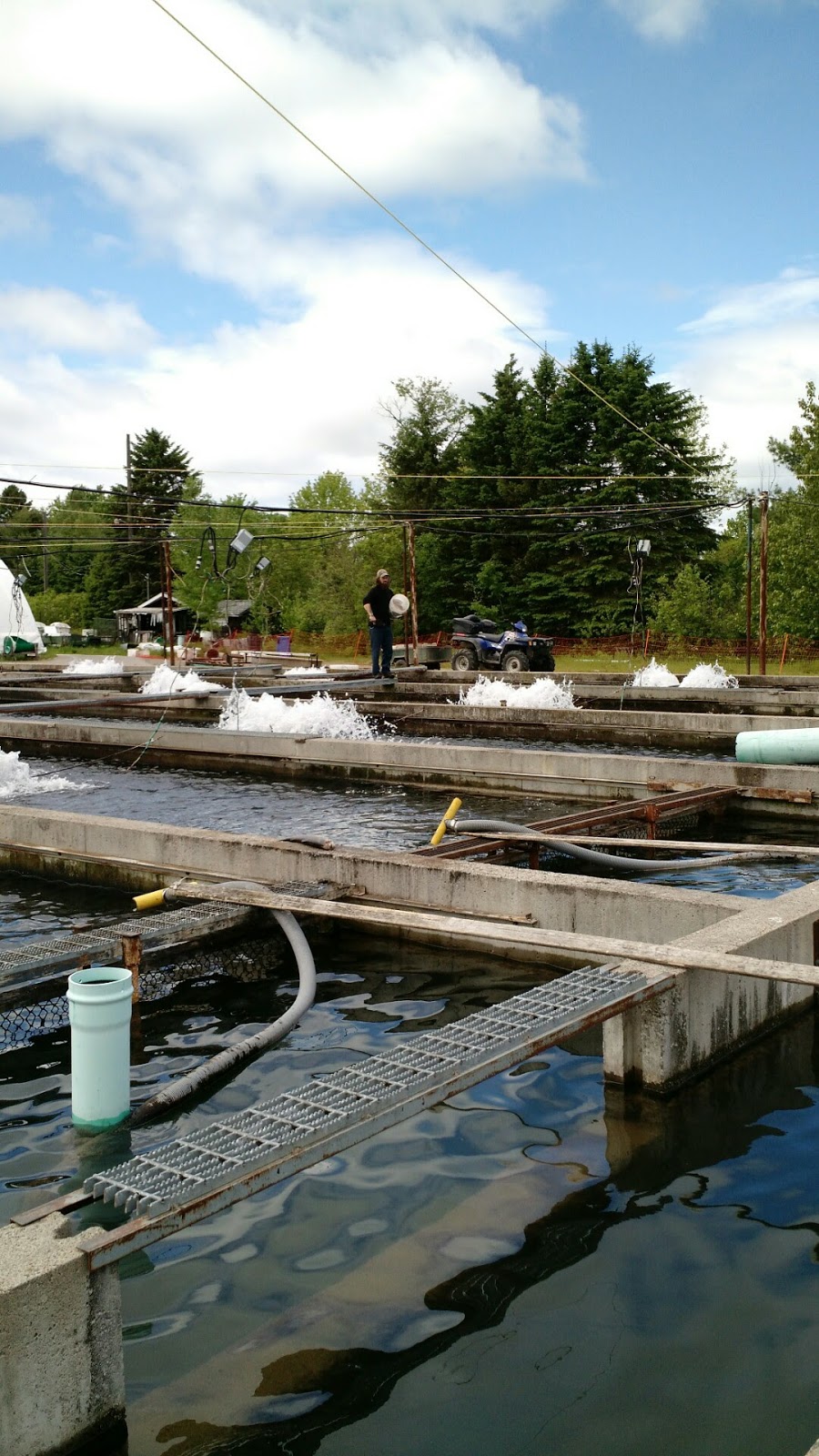 Pisciculture St-Alexis-des-Monts inc | 191 Rue Sainte Marguerite, Saint-Alexis-des-Monts, QC J0K 1V0, Canada | Phone: (819) 265-2710