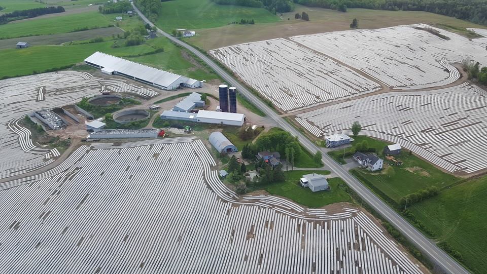 Ferme Garonne Inc | 236 4e Rang, Saint-Odilon, QC G0S 3A0, Canada | Phone: (418) 464-4751