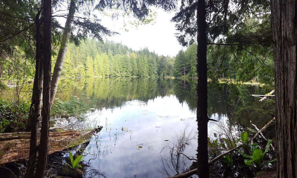 Cedar Lake Overlook | Bellingham, WA 98229, USA