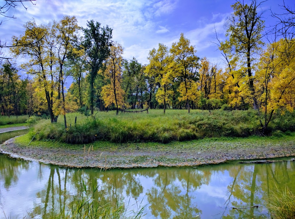 Bois-des-esprits | Winnipeg, MB, Canada