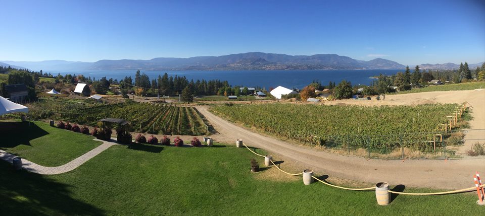 Lets Go Wine Tours | 1310 Water St, Kelowna, BC V1Y 9P3, Canada | Phone: (844) 877-0101