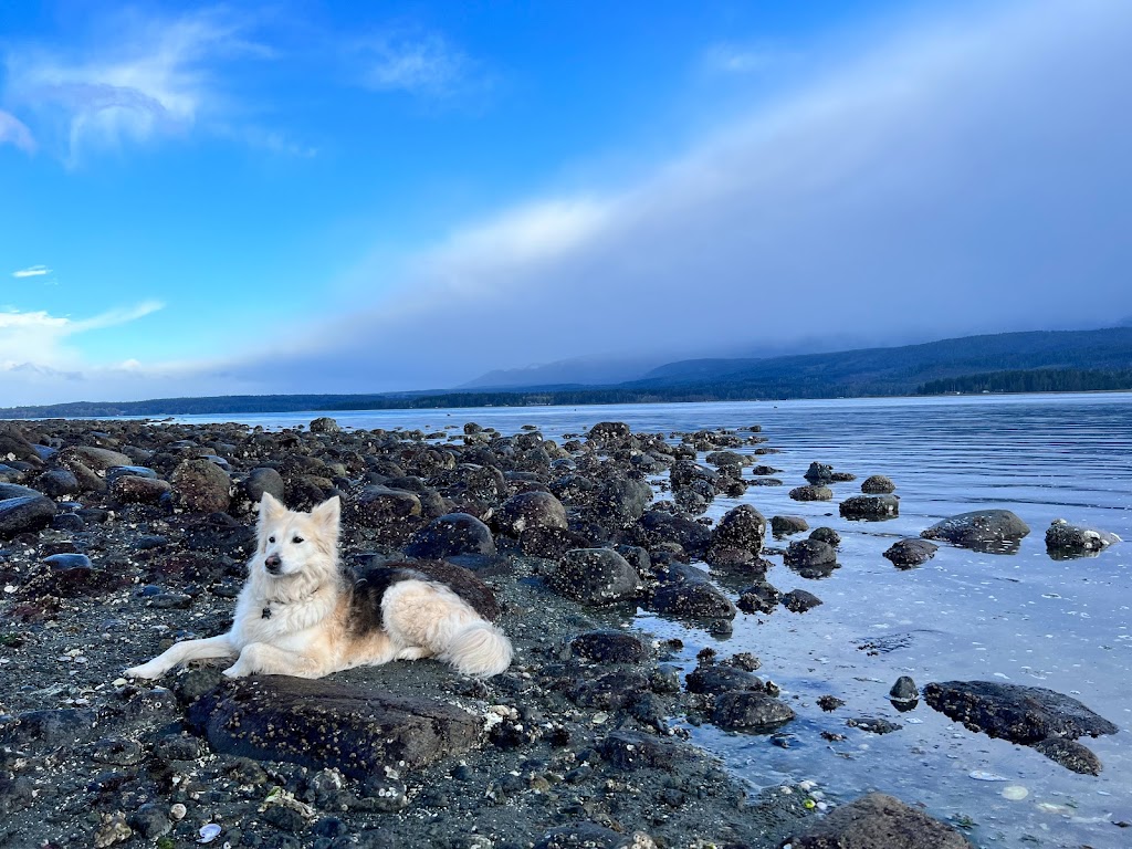 Carruthers Counselling & Consulting//Ships Point Wellness INC | Michael Pl, Fanny Bay, BC V0R 1W0, Canada | Phone: (250) 792-3558