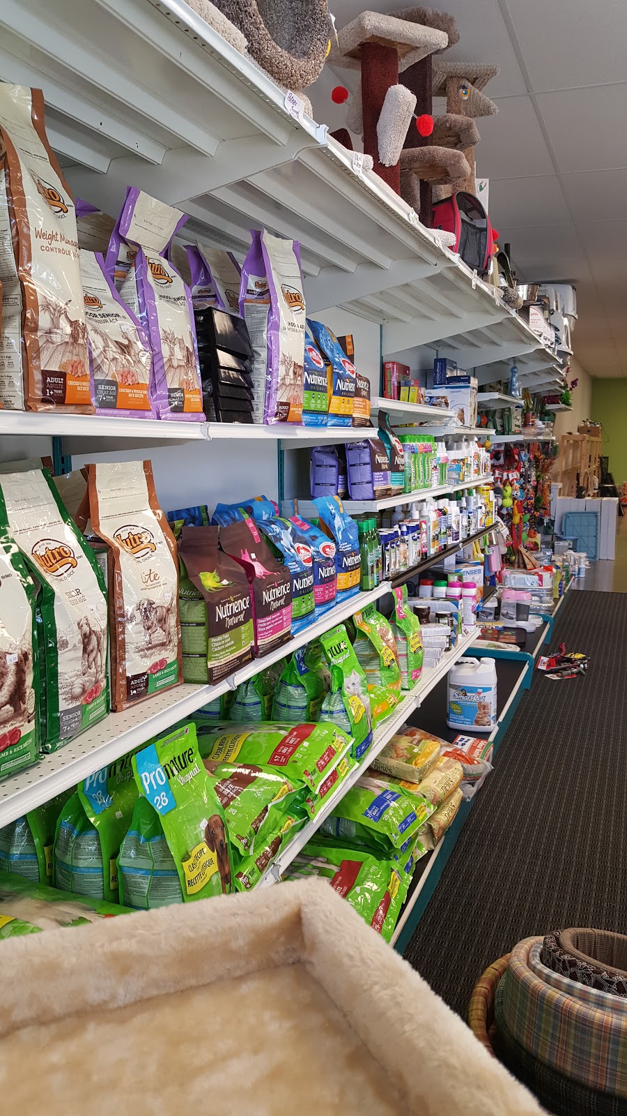 Pet Kangaroo Rec | 348 Rue Beaudry N, Joliette, QC J6E 6A6, Canada | Phone: (450) 752-5019