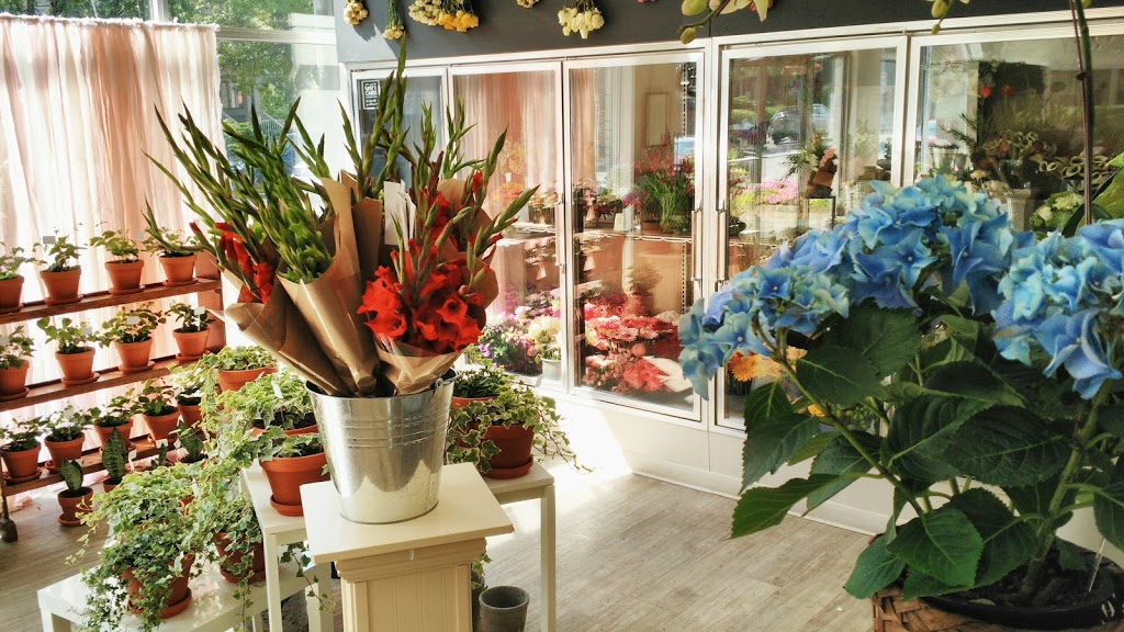 Academy Florist | 925 Corydon Ave, Winnipeg, MB R3M 0W8, Canada | Phone: (204) 488-4822