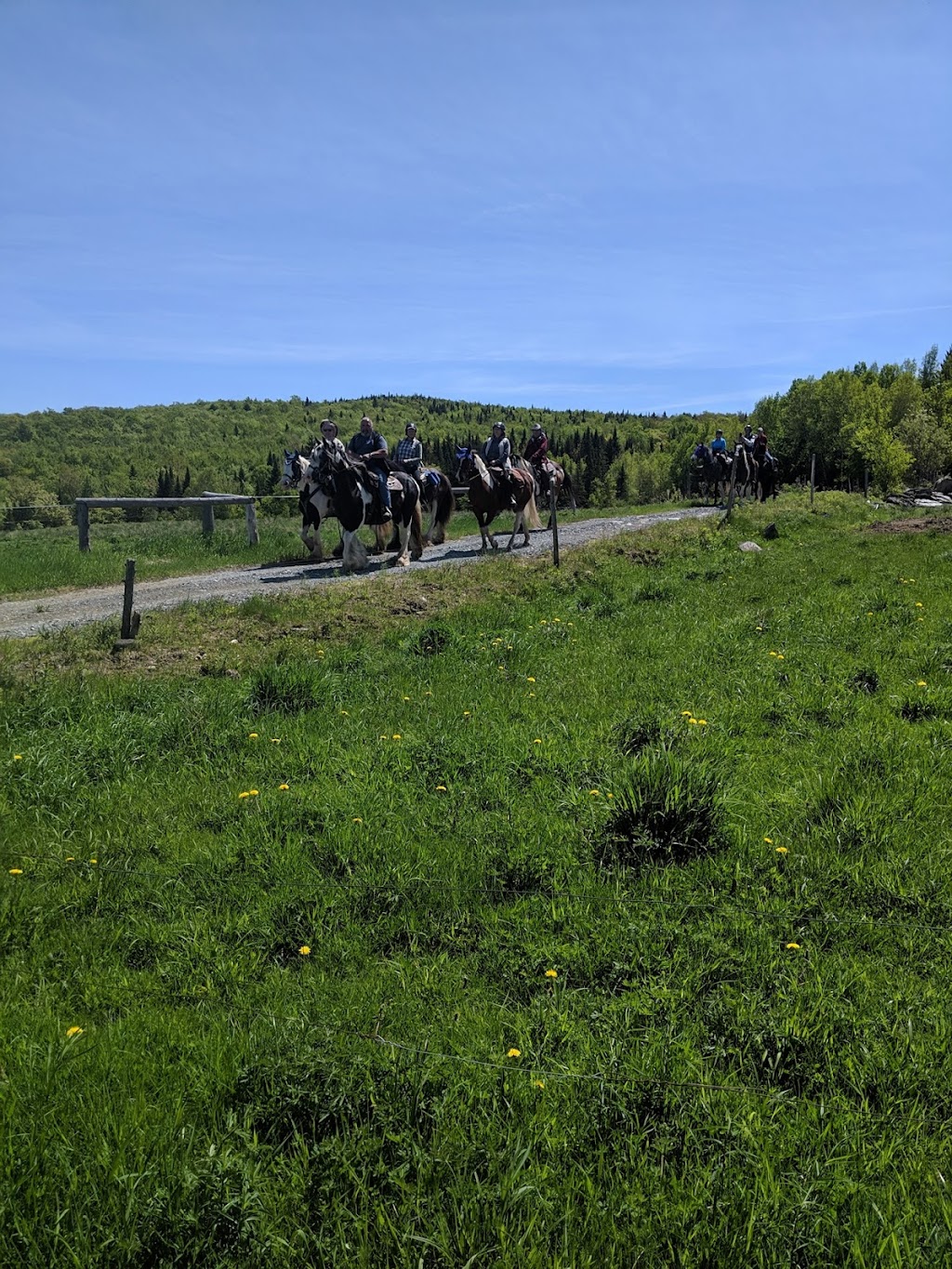 Sentiers équestres aux mille collines | 74 Rang 1 Centre, Notre-Dame-de-Ham, QC G0P 1C0, Canada | Phone: (819) 350-2107