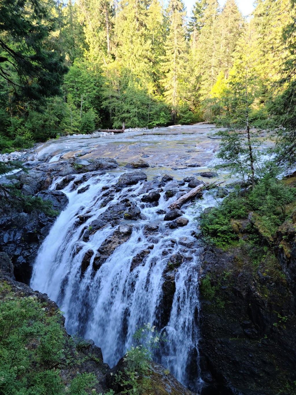 Englishman River Falls Provincial Park | 2245 Errington Rd, Errington, BC V0R 1V0, Canada | Phone: (250) 474-1336