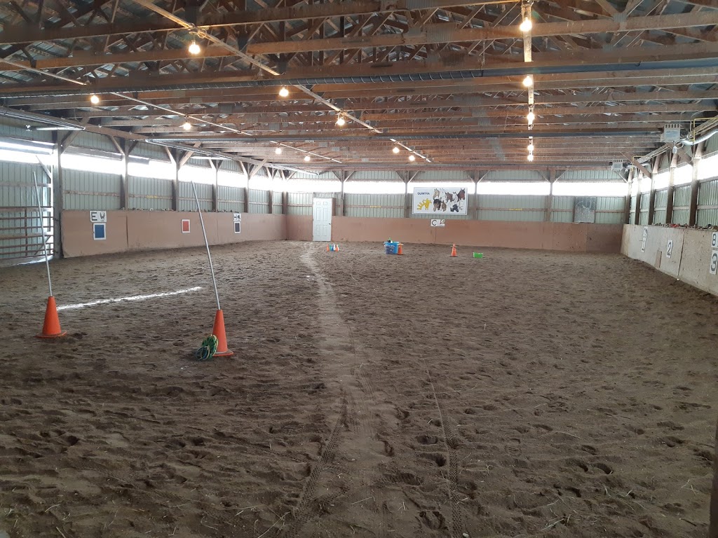 Quinte Therapeutic Riding Association | 173 McGee Rd #2, Stirling, ON K0K 3E0, Canada | Phone: (613) 395-4472