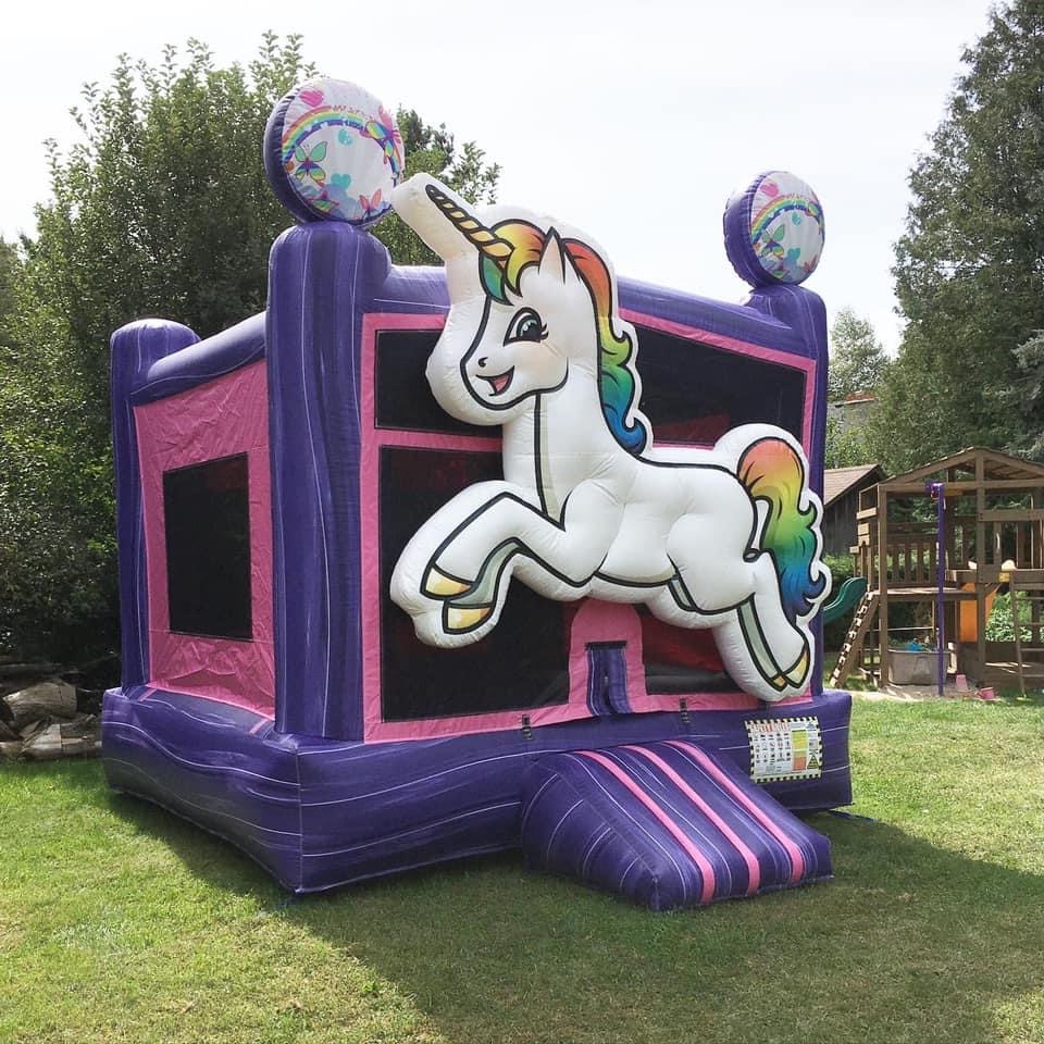 BEAM Bouncy Castles | 270 Mud St W #99003, Hamilton, ON L8J 1P0, Canada | Phone: (905) 906-6395