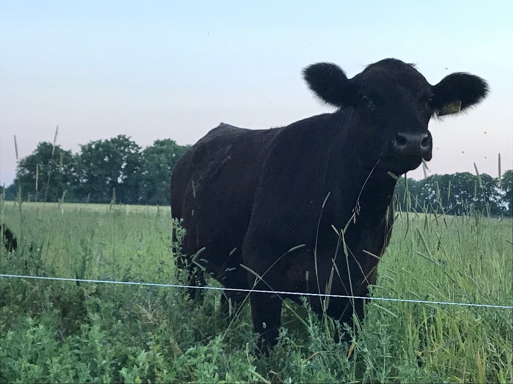 Pasture Fed Farms | 1248 Concession Rd 6 W, Millgrove, ON L8B 1N1, Canada | Phone: (289) 775-0423